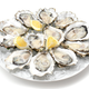 Illustration for article titled Scientists Are Making Oysters Safe to Eat With Electron Beams